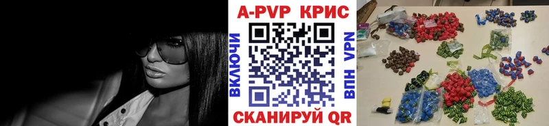 Альфа ПВП СК Каргополь