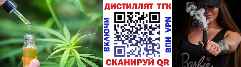 Купить  Каргополь  ТГК концентрат 