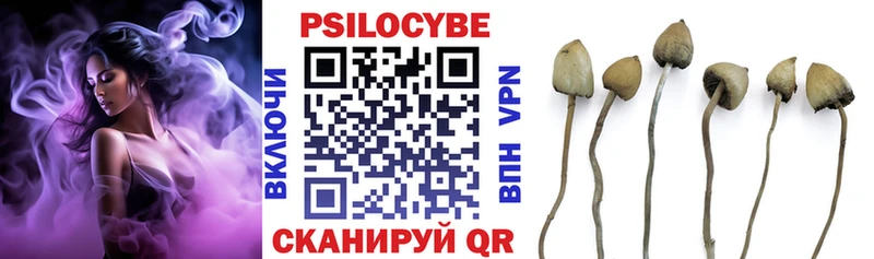 Псилоцибиновые грибы Cubensis  Купить закладки  Каргополь 